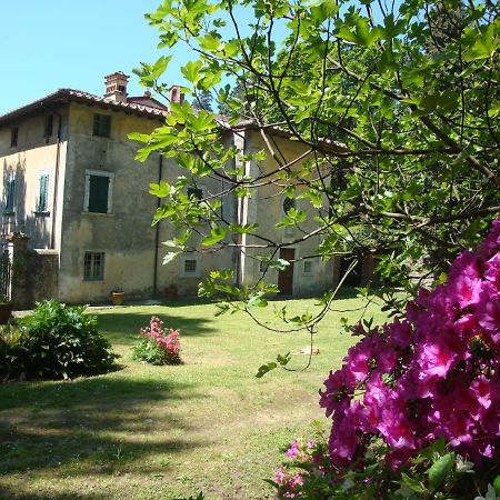 Bed & Breakfast Villa Masini-Luccetti Пиетрасанта Екстериор снимка