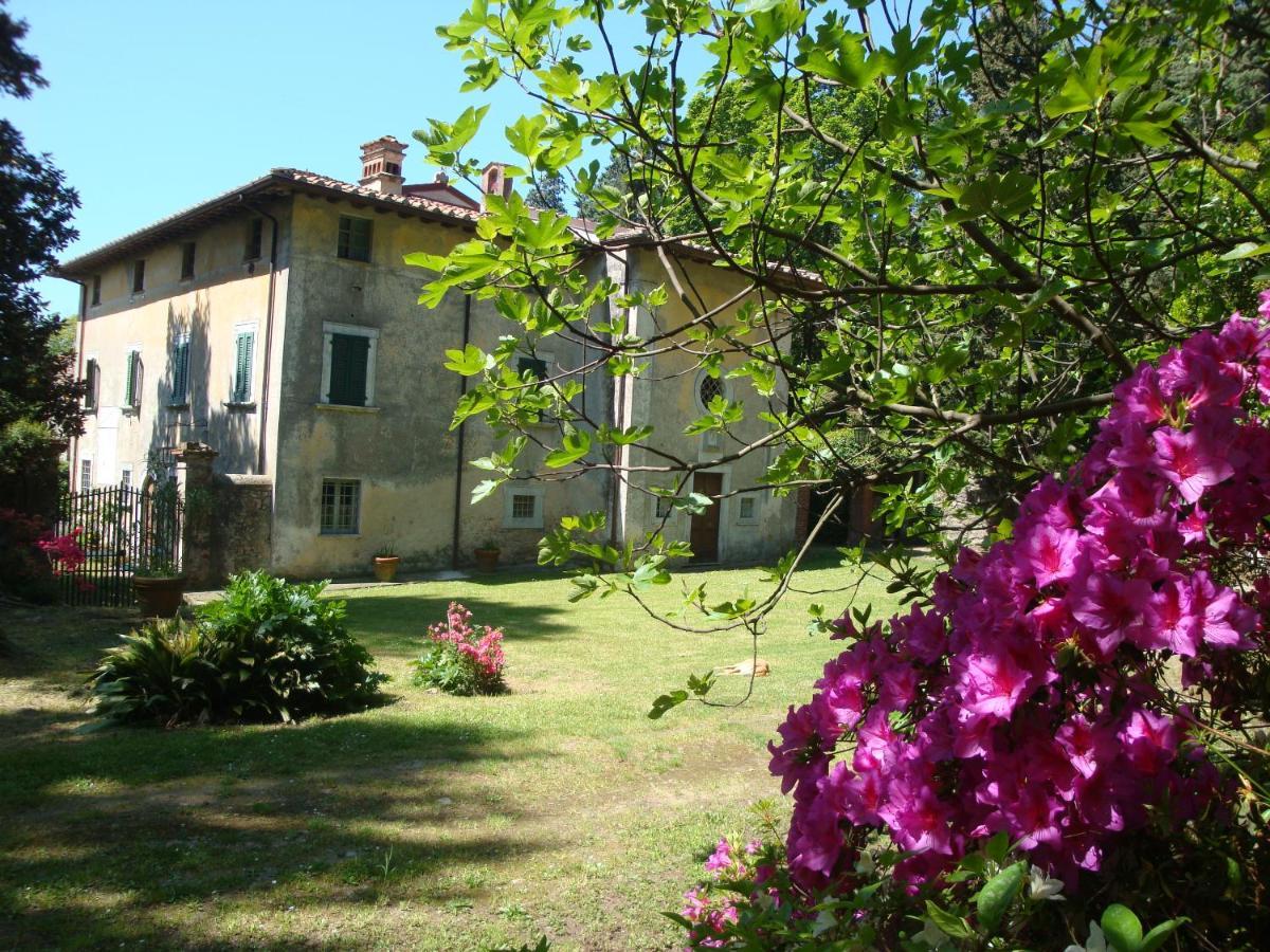 Bed & Breakfast Villa Masini-Luccetti Пиетрасанта Екстериор снимка